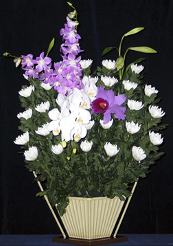 菊篭2 *