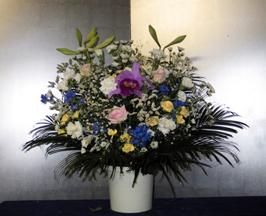 洋花1 *