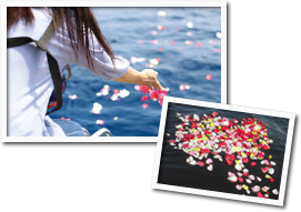 海洋葬代行・散骨 *