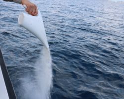 ご遺骨を粉末状にして海に散布する様子