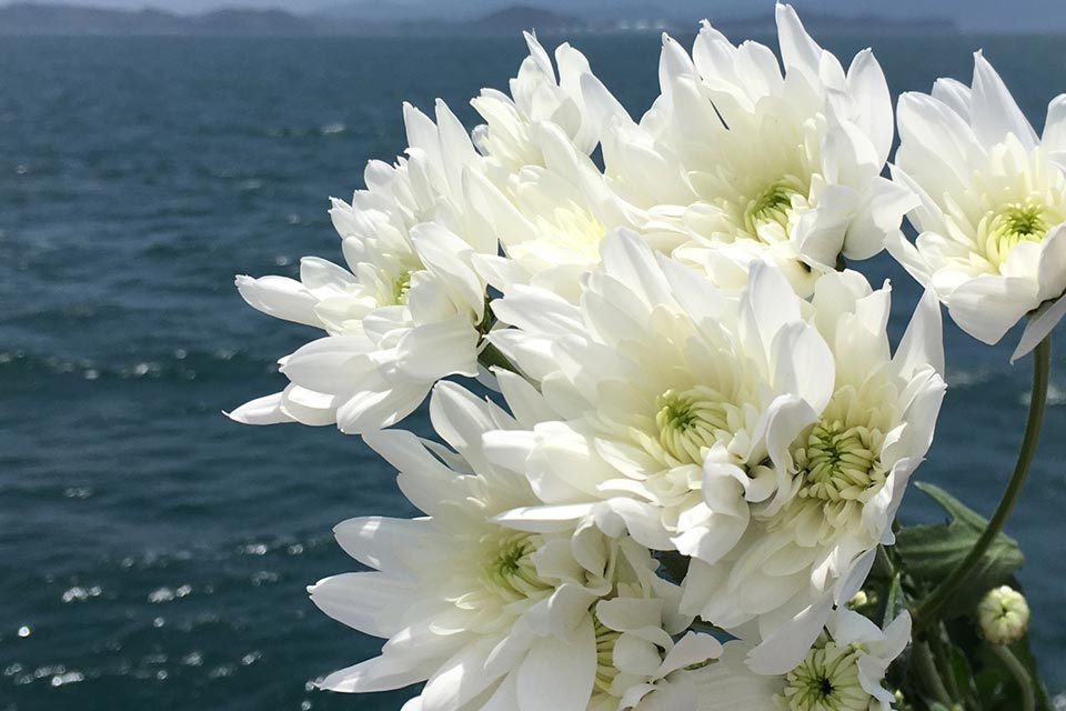 海洋葬の様子
